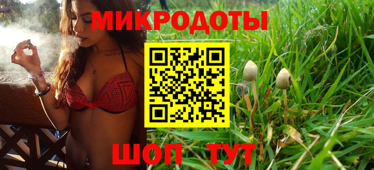 Галлюциногенные грибы Cubensis Зеленодольск