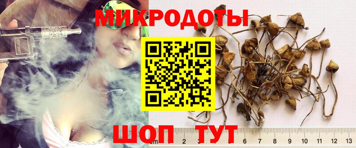 Галлюциногенные грибы Magic Shrooms  Вход с VPN  Зеленодольск 